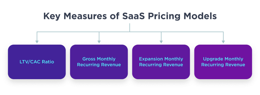 Key Measures of SaaS Pricing Models